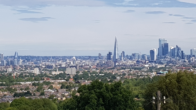 Forest Hill Garden Group